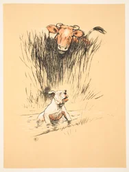 Tyr og hund i marken